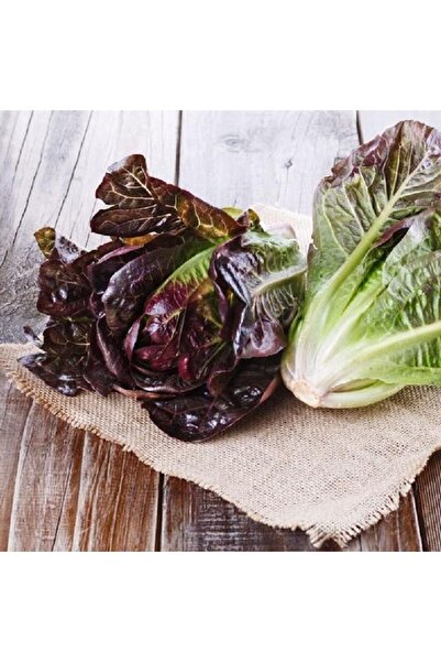 Tohum Dünyası 200 Adet Super Red Romain Kırmızı Marul Tohumu