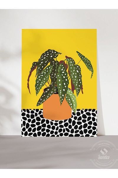 Sweetco Αφίσα Begonia Maculata χωρίς πλαίσιο |    Αφίσα βοτανικής λουλουδιών