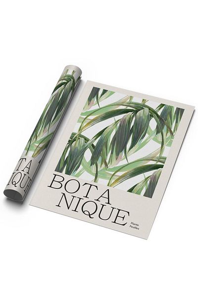 Sweetco Αφίσα Botanique No2 χωρίς πλαίσιο |   Αφίσα Βοτανικής Νο2