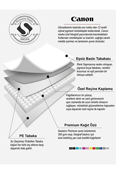 Sweetco Çerçevesiz Poster Old Ballerina | Balerin Vintage Sanat Poster