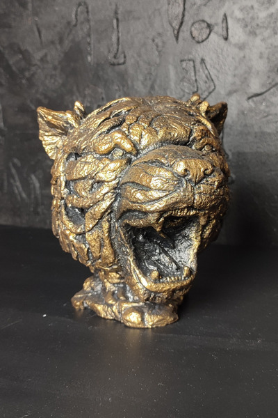 Kaplan Mask