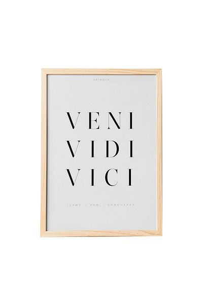 KAYNOCK Veni Vidi Vici Poster Painting, Digital Design Painting