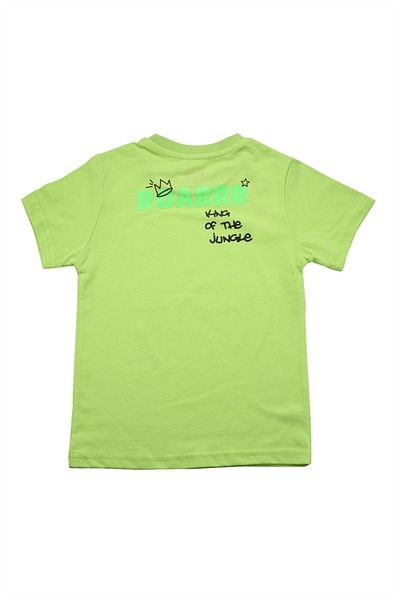 Alme Cute Dinosaur Printed Baby Boy T-shirt Green