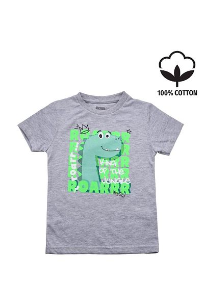 Alme Cute Dinosaur Printed Baby Boy T-shirt Gray