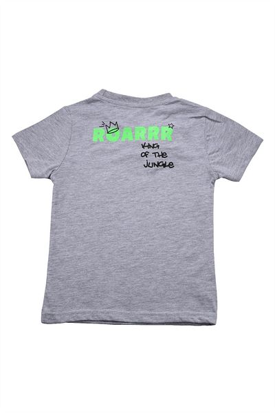 Alme Cute Dinosaur Printed Baby Boy T-shirt Gray