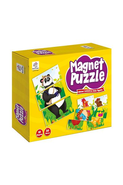 yükselen zeka Magnet Magnet Puzzle