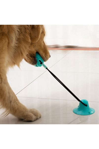 RAIKOU Dog Teeth Scratching Biting Apparatus