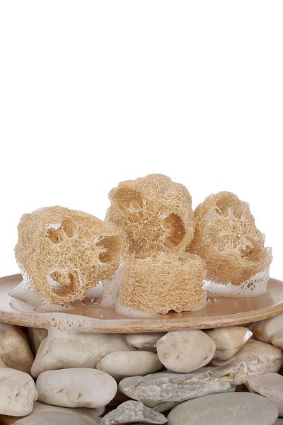 Şık Kalıp 20-30 Cm One Piece Natural Pumpkin Fiber - Body Dish Cleaning