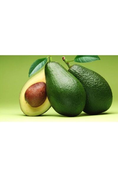 Ecemorganik Veli almaz Anamur Dan 3 Kg Avakado Anamur Mersin