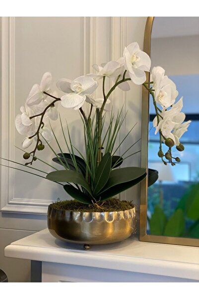 Dekordan House Antik Pirinç Kaseli 2 Dal Orkide