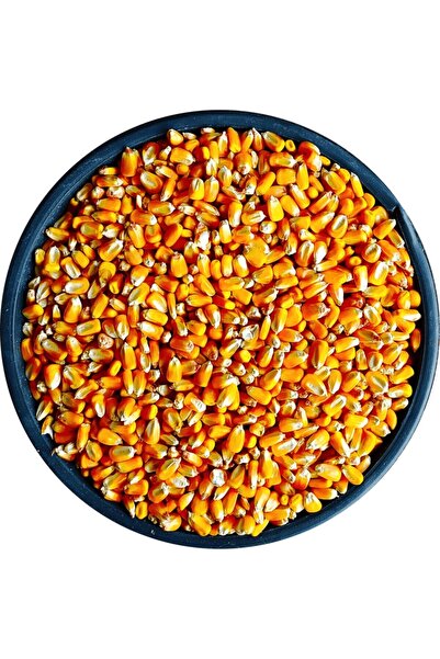 Bizim Yem Mısır 5kg Tavuk Yemi Yemlik Mısır Kanatlı Yemi Kaz Ördek Yemi Kuş Y...
