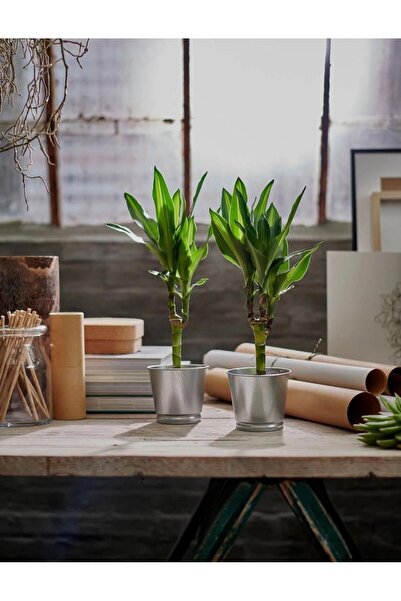 IKEA Bıntje Galvanizli Çelik Saksı - 9 Cm X 3 Adet