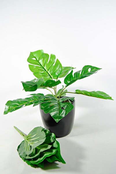 Lilac Home Yapay Çiçek Deve Tabanı