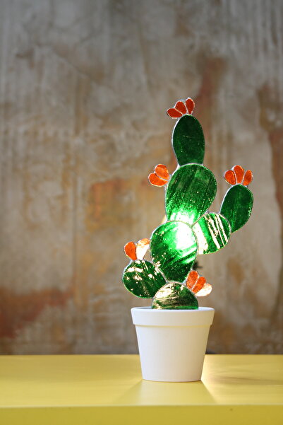 anonim Vitray Kaktüs Çiçek (Sukulent)