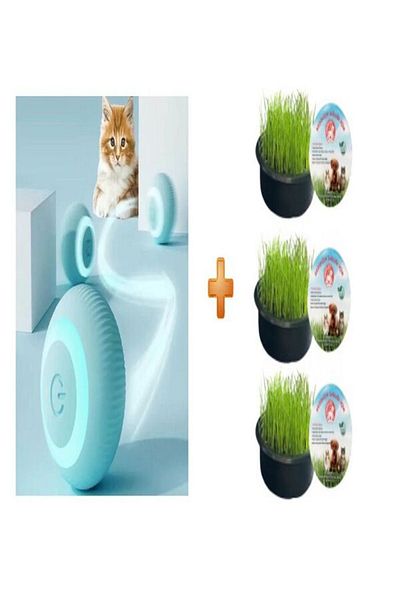 Sonrisa Pets Automatic Rolling Smart Cat Play Ball + Sonrisa Pets Organic Cat Grass 3Pcs