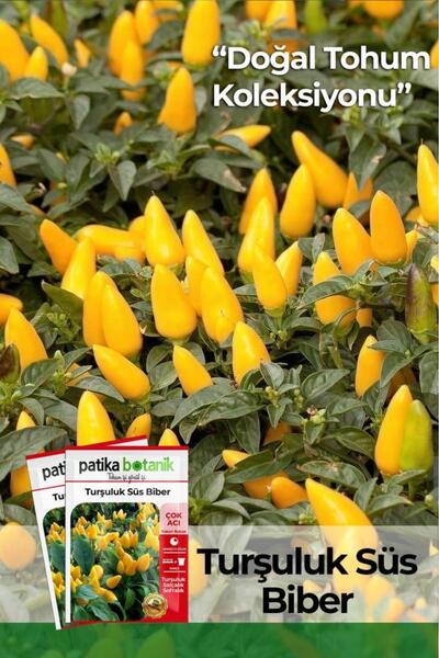 Patika Botanik 150 Adet Yerli Ata Turşuluk Süs Biberi