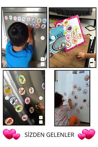Schmülzer Baby Magnetic Puzzle 2-Piece Magnet Puzzle - Animals, Fruits, Vehicles