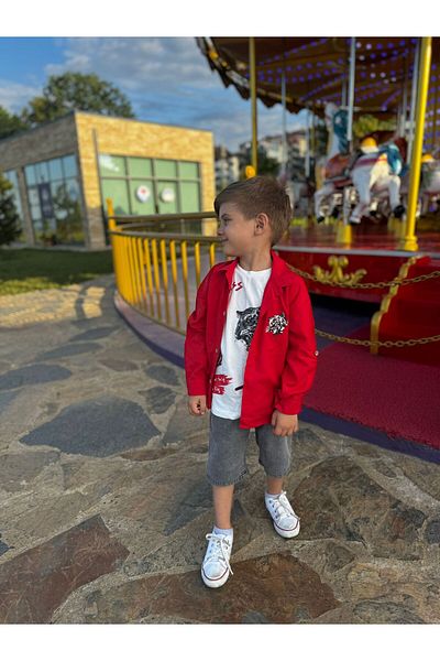 Pollito Boy's Seasonal Cotton Tiger Embroidered Shirt T-shirt 2-Piece Set