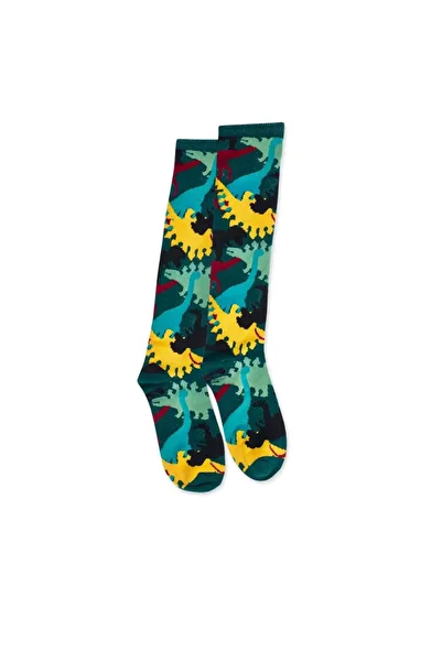 Tuc Tuc Green Men's Dinosaur Socks