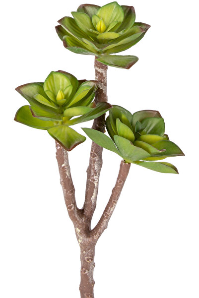 Herdekora Yapay Kaktüs Sukulent Kırmızı-Yeşil 35 Cm.