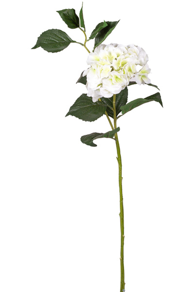 Herdekora Yapay Çiçek Islak Dokulu Ortanca Beyaz Tek Dal 110 Cm.