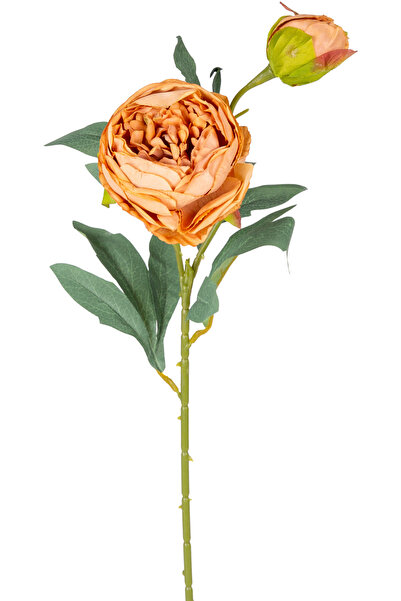 Herdekora Yapay Çiçek Şakayık Açık Kahve 65 Cm.