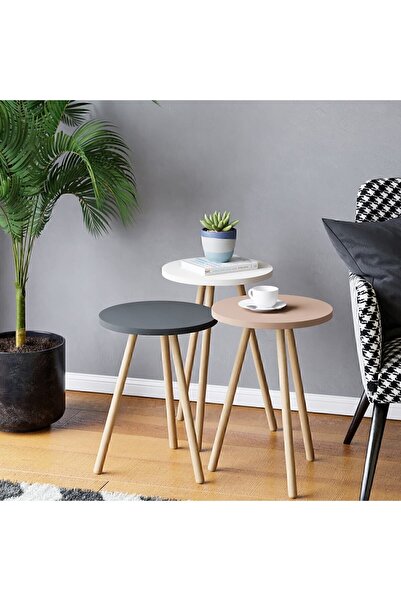 interGO Renkli Üçlü Zigon Sehpa Ahşap Ayaklı Yuvarlak Pastel Tasarım Gri Beyaz Cappuccino