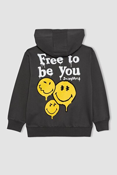 DeFacto Boy's Smileyworld Thick Hooded Sweatshirt - B4317A823Wn