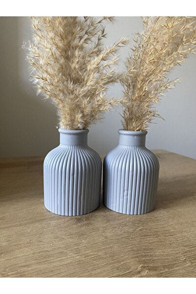 Genel Markalar Pampas Vazosu, Iskandinav Dekoratif Beton Vazo Biblo 10cm Çok Şık 2'Li Gönderim