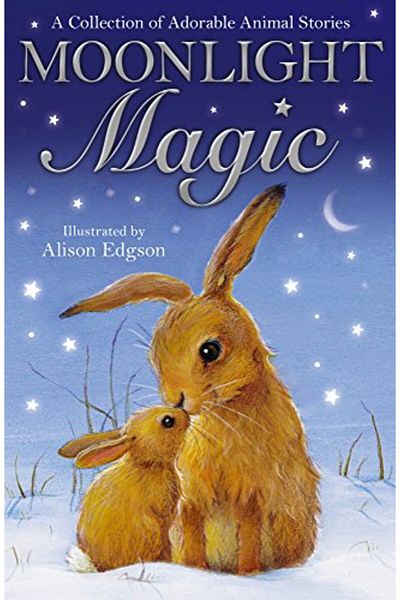 Macmillan Distribution Moonlight Magic