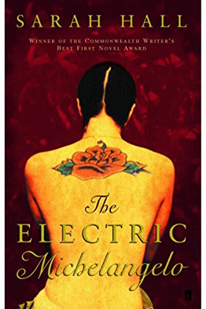 Harper Collins مايكل أنجلو الكهربائي