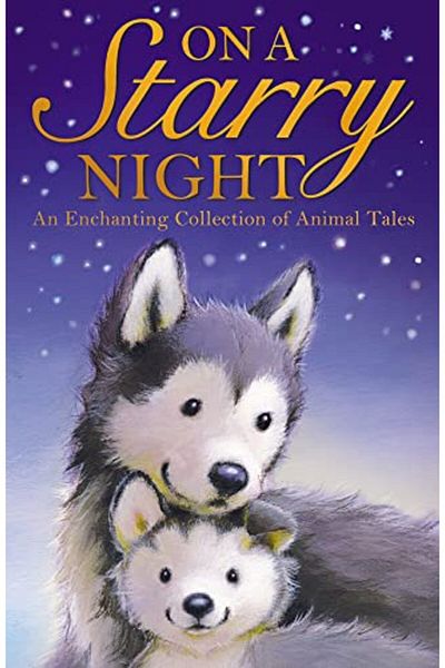 Macmillan Distribution On A Starry Night