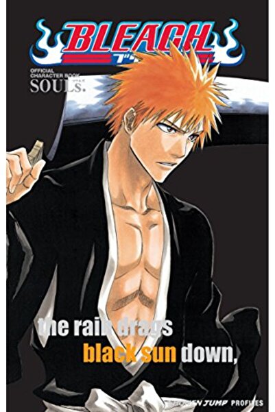 Harper Collins كتاب الشخصيات الرسمي لمانجا بليتش المجلد 1