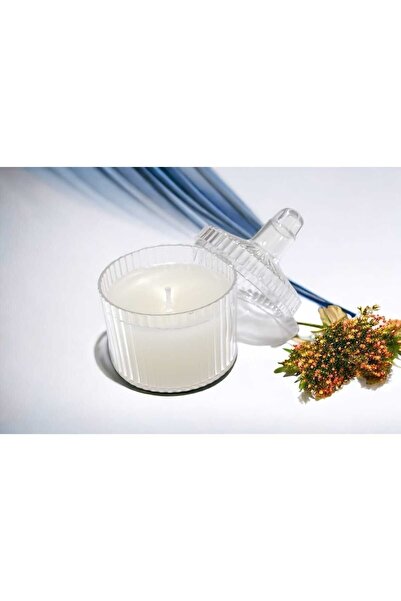 Vera Home Gift 24 Adet Mumlu Mika Şekerlik Kutu-plastik Şeffaf Hediyelik Mum ...