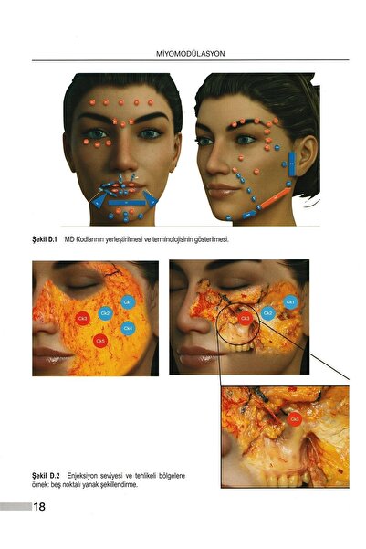 Avrupa Tıp Kitabevi Estetik Enjeksiyonlar Için Temel Yüz Anatomisi Ve Uygulama Teknikleri