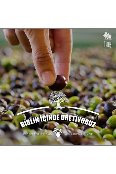 Tariş TARŞ OLIVE OIL SOAP 800 GRAM