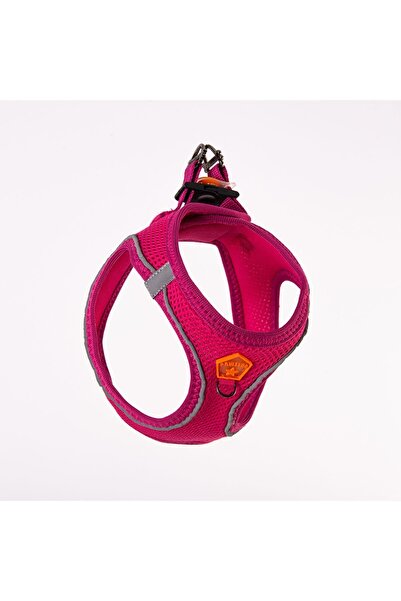 Pawstar AİRMESH KEDİ KÖPEK GÖĞÜS TASMASI