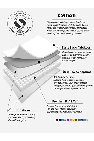 Sweetco Çerçevesiz Poster Bartender | Köpek Barmen Chef Restaurant Bar Wine Şarap Poster