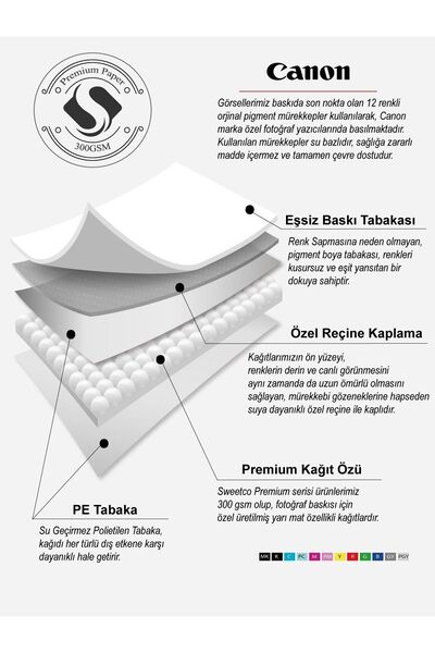 Sweetco Çerçevesiz Poster More Wine | Mutfak Kitchen Bar Wine Şarap Kedi Poster