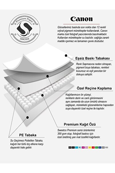 Sweetco Çerçevesiz Poster Summer Blossom Gallery No1 | Yaz Çiçek Galerisi Botanik Çiçek Poster