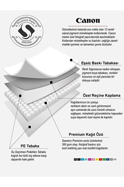 Sweetco Çerçevesiz Poster Watercolor Butterfly | Renkli Kelebek Poster