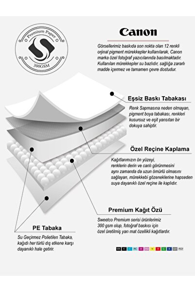 Sweetco Prairie Rose Çerçevesiz Poster | Gül Çiçek Poster