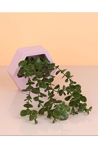 paris dünyası 1 Adet Küçük Altıgen okaliptüs duvar süsü yapay çiçek