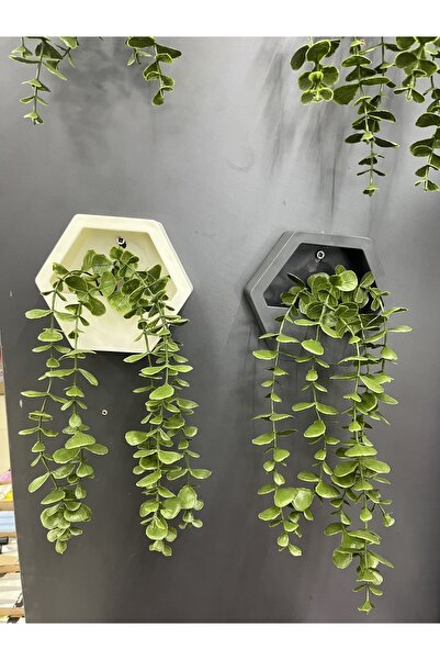 paris dünyası 1 Adet Küçük Altıgen okaliptüs duvar süsü yapay çiçek