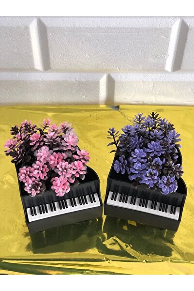 paris dünyası 2 Li Plastik Piyano Saksılı Çiçek