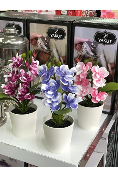 paris dünyası 1 Adet Küçük Boy Yapay Orkide