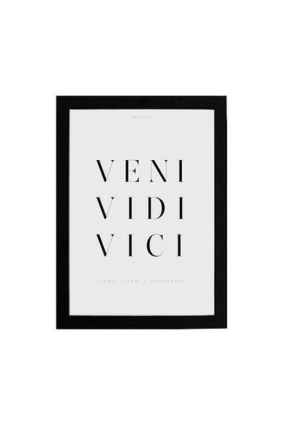 KAYNOCK Veni Vidi Vici Poster Painting, Digital Design Painting