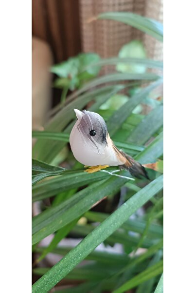 mucizevim 12 طائرًا صناعيًا، ديكورًا صناعيًا، ملحقًا لوعاء الزهور، طائر صغير،...