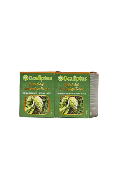 ocaliptus Damla Sakızlı Çam Kozalağı Macunu (2 ADET 240gram)