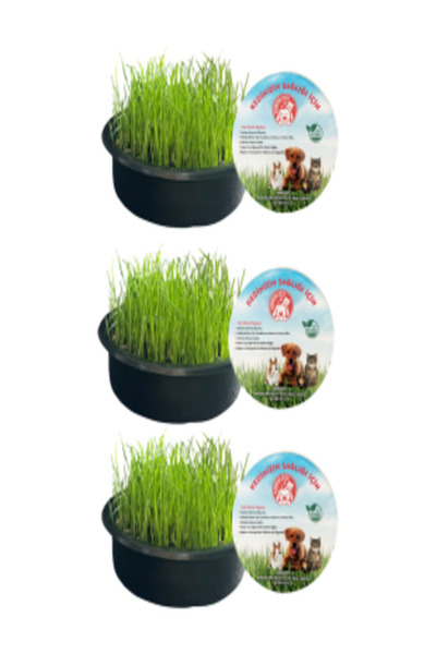 Sonrisa Pets Sonrisa Plush Cat Toy - Organic Mouse Set of 3